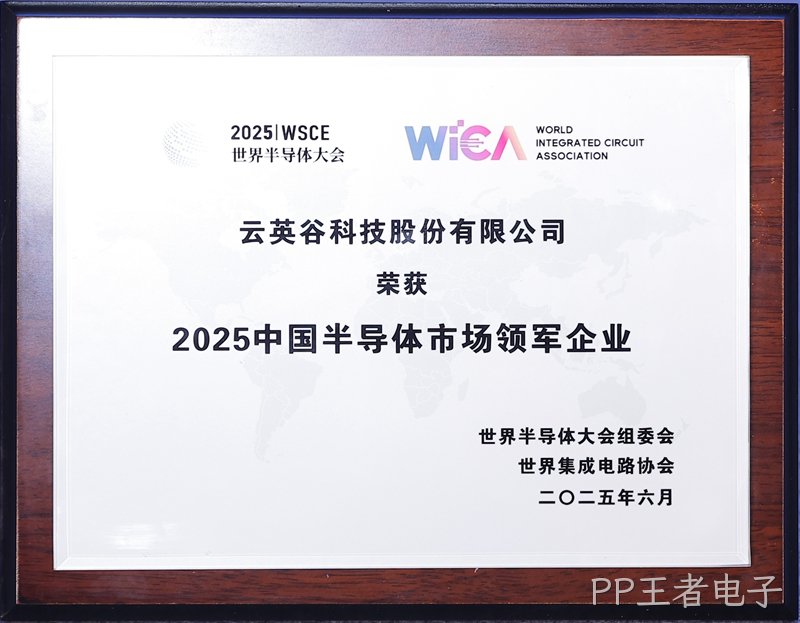 【2025】中国半导体市场领军企业-奖牌1-裁切1.jpg